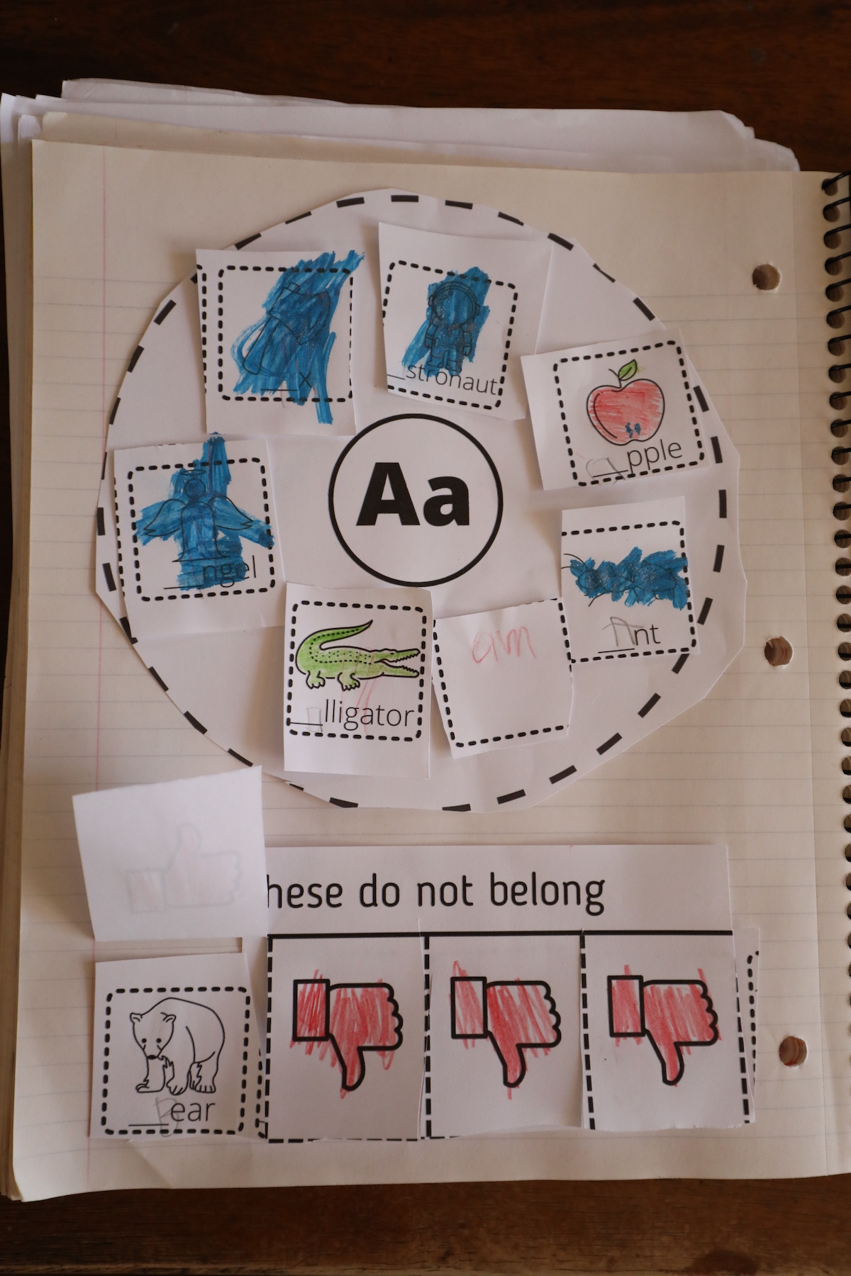 ABC Circle Map Interactive Notebook